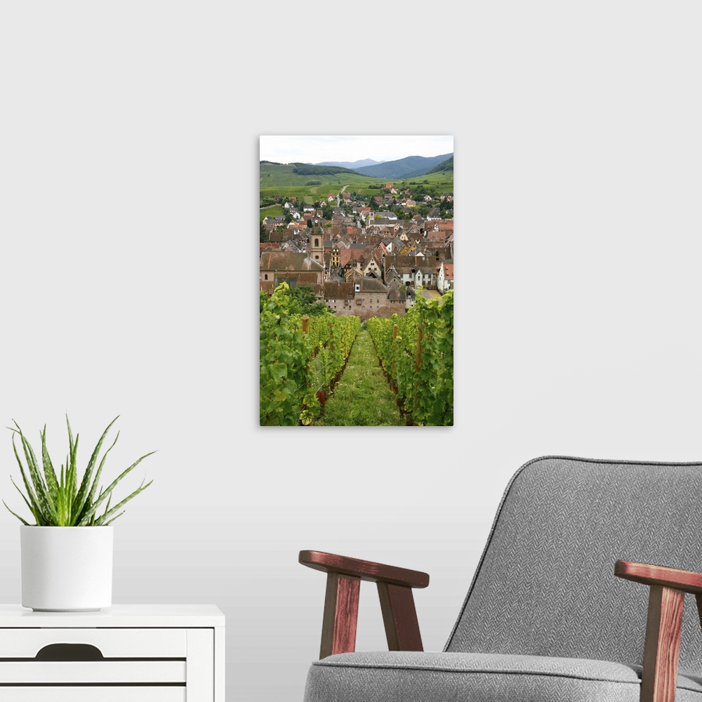 A modern room featuring View over the village of Riquewihr and vineyards in the Wine Route area, Alsace, France