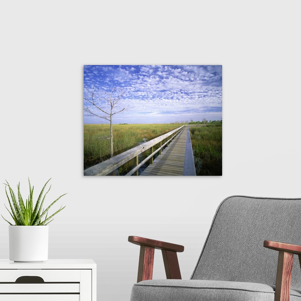 A modern room featuring Viewing walkway, Everglades National Park, Florida