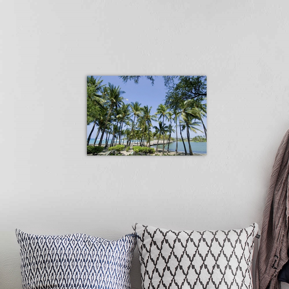 A bohemian room featuring Waikaloa Beach, Island of Hawaii (Big Island), Hawaii