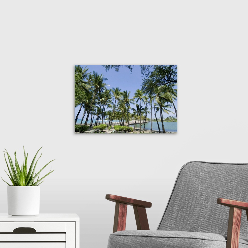 A modern room featuring Waikaloa Beach, Island of Hawaii (Big Island), Hawaii