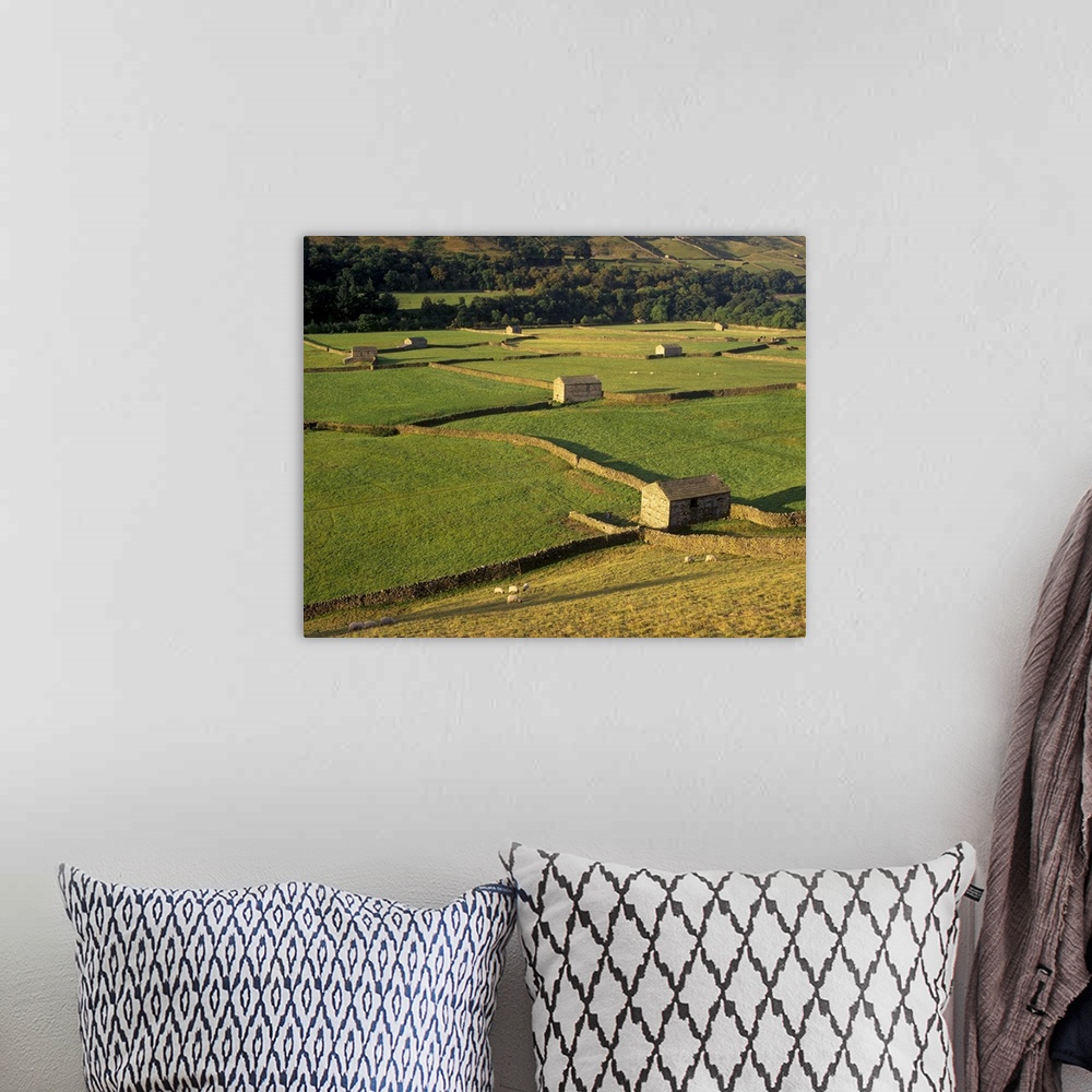 A bohemian room featuring Walled fields and barns, Yorkshire Dales National Park, Yorkshire, England