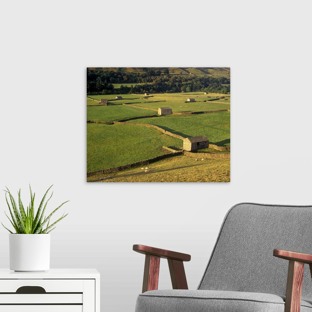 A modern room featuring Walled fields and barns, Yorkshire Dales National Park, Yorkshire, England
