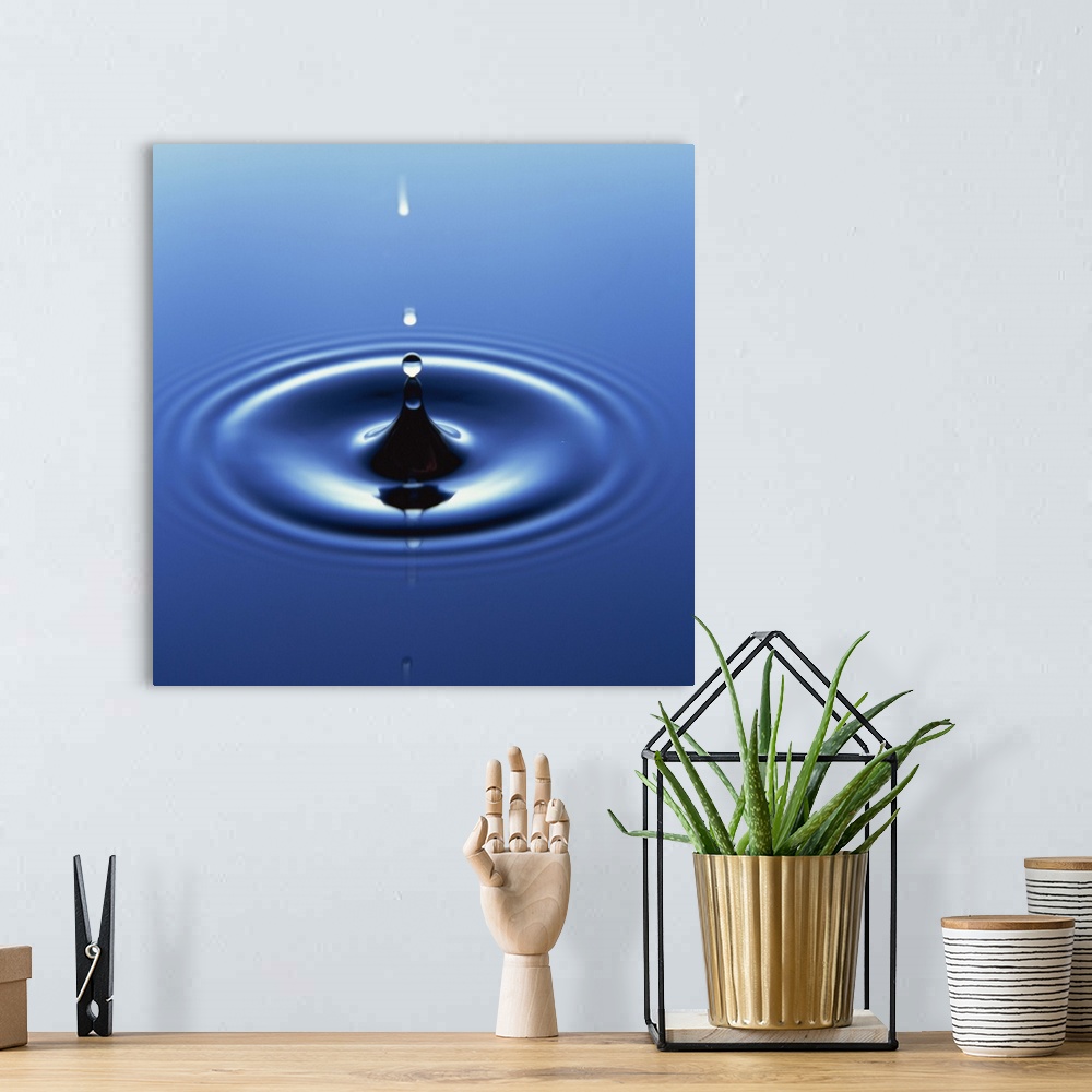 A bohemian room featuring Water droplet hitting water surface creating ripples