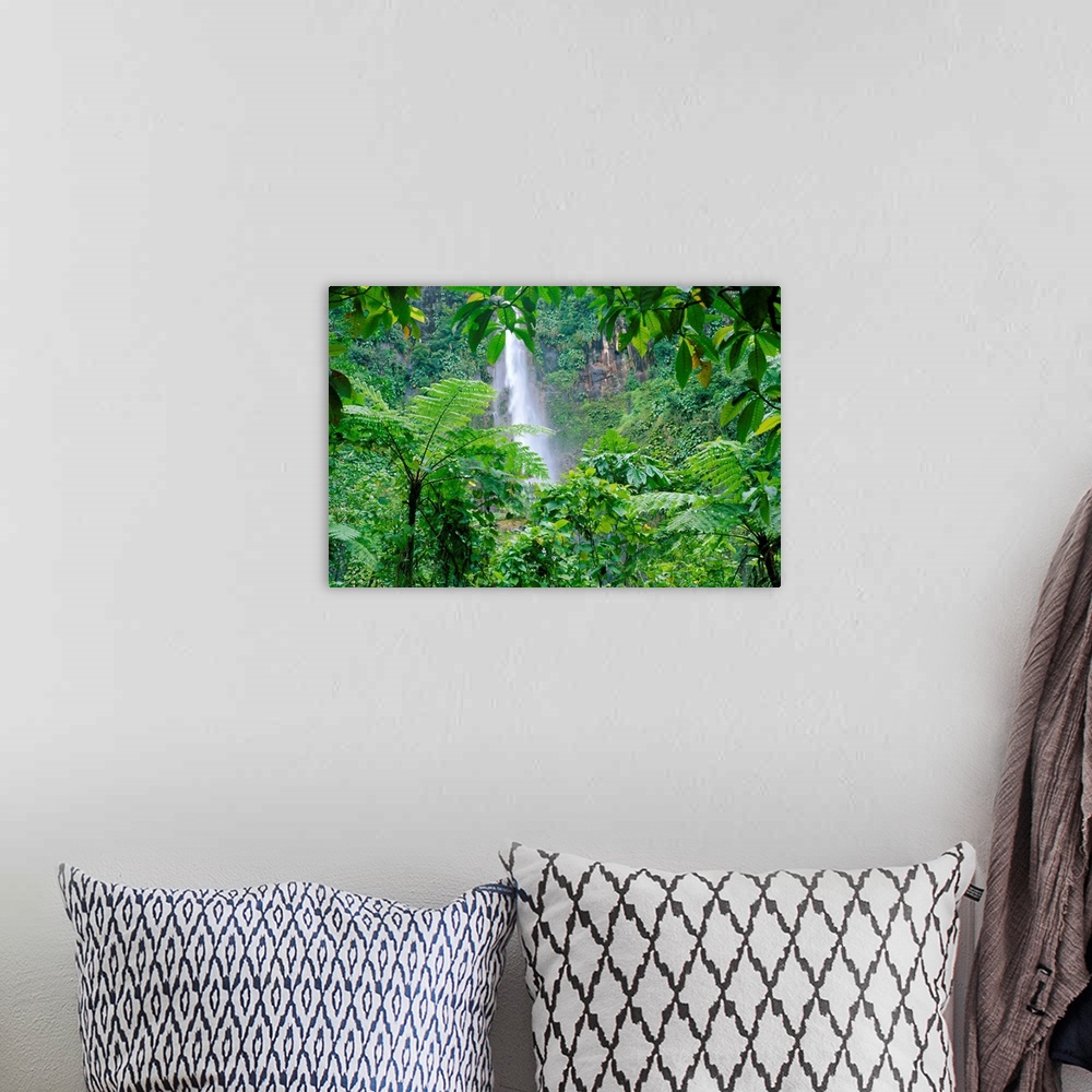 A bohemian room featuring Waterfall, Guadeloupe, French Antilles, West Indies, Caribbean