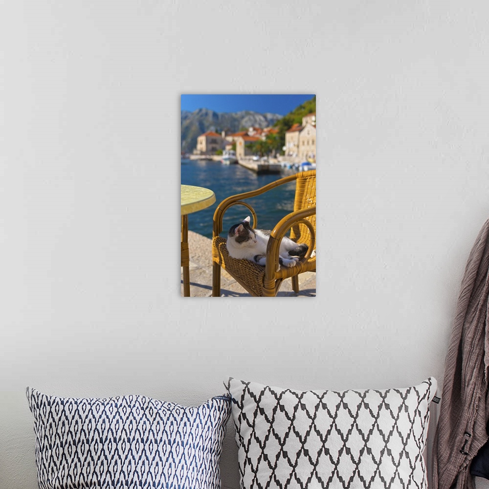 A bohemian room featuring Waterside cafe and cat, Perast, Bay of Kotor, Montenegro