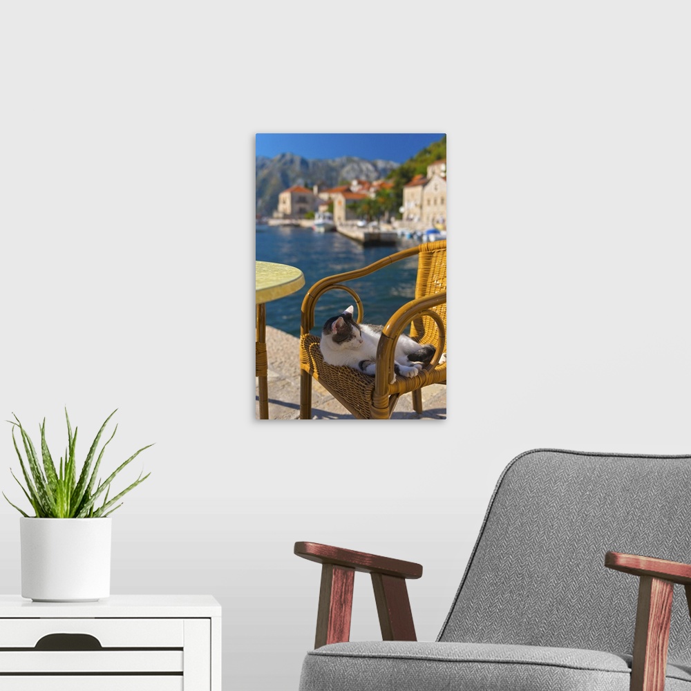 A modern room featuring Waterside cafe and cat, Perast, Bay of Kotor, Montenegro