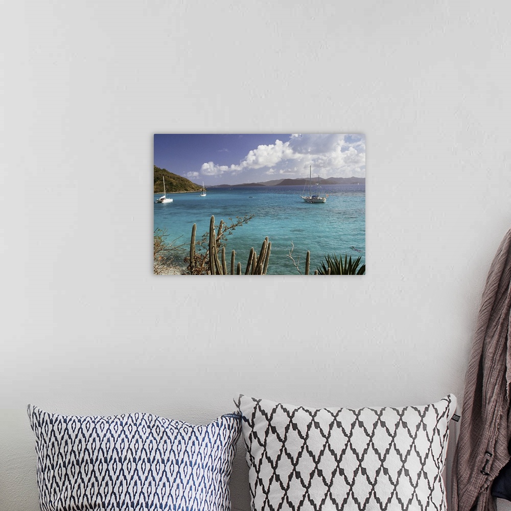 A bohemian room featuring White Bay, Jost Van Dyke island, British Virgin Islands, West Indies