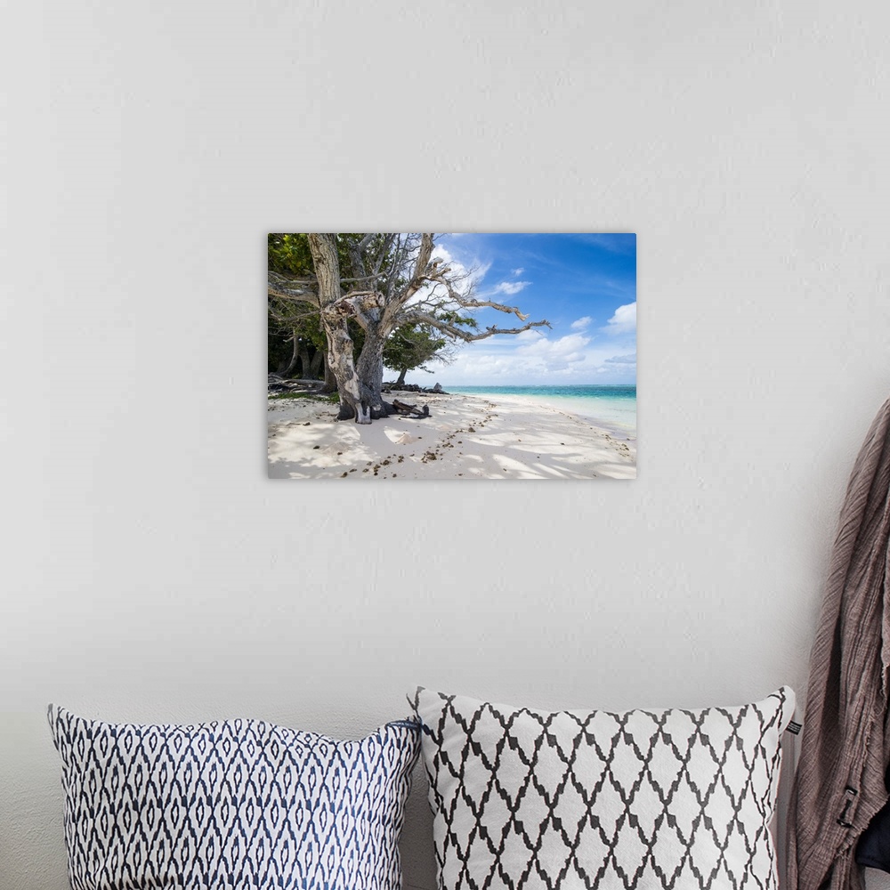 A bohemian room featuring White sand and turquoise water at Laura (Lowrah) beach, Majuro atoll, Majuro, Marshall Islands, S...