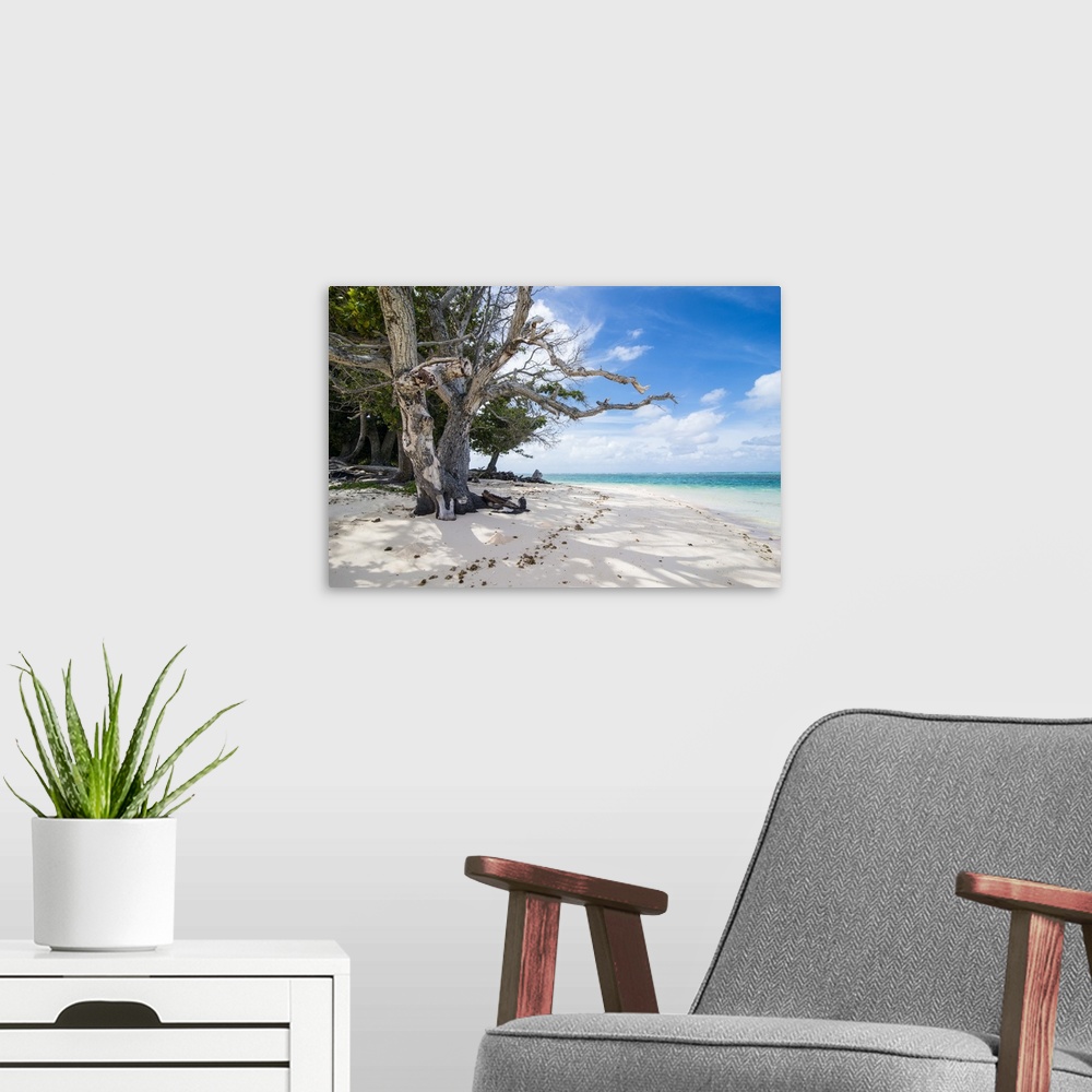 A modern room featuring White sand and turquoise water at Laura (Lowrah) beach, Majuro atoll, Majuro, Marshall Islands, S...