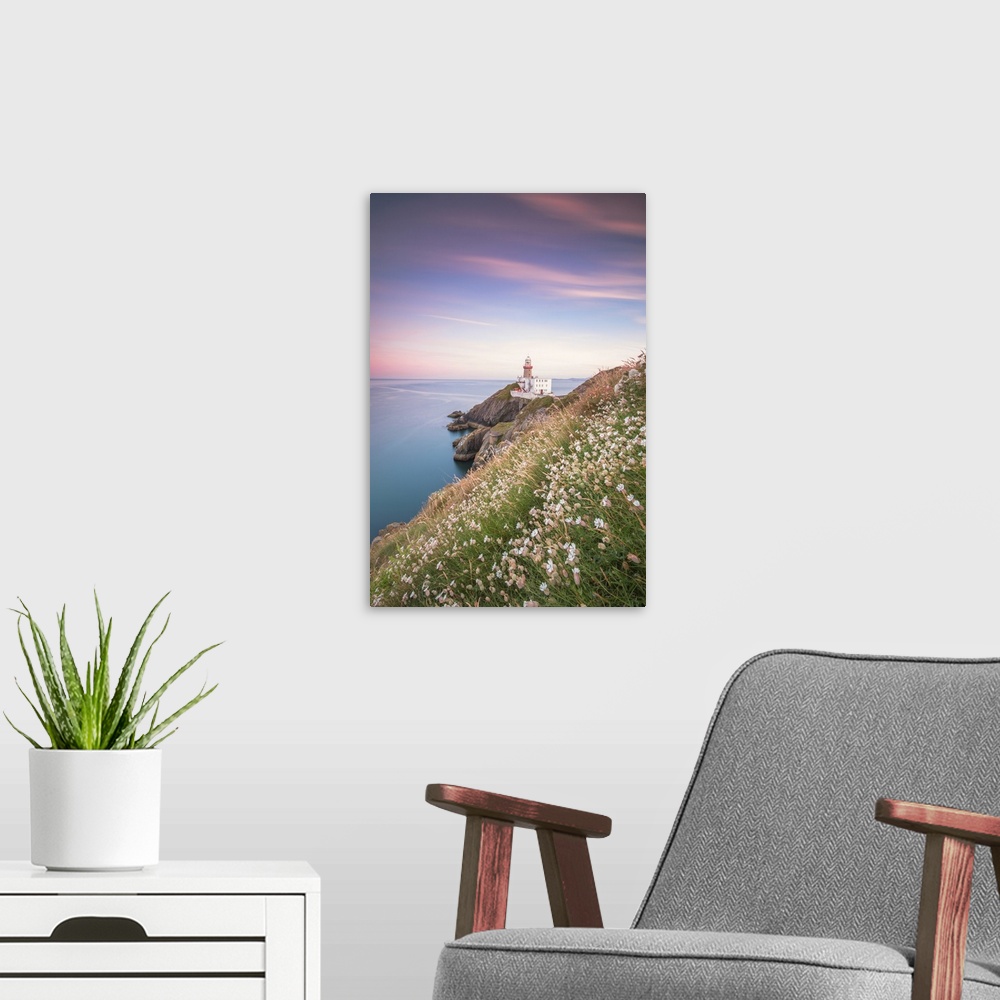 A modern room featuring Wild flowers with Baily Lighthouse in the background, Howth, County Dublin, Republic of Ireland, ...