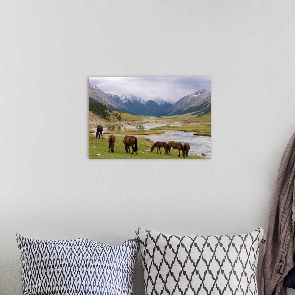 A bohemian room featuring Wild horses at river, Karkakol, Kyrgyzstan, Central Asia