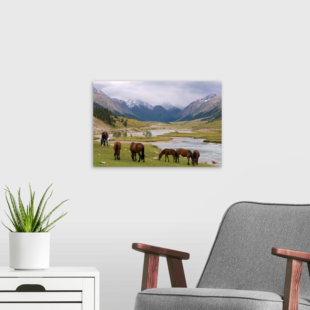 A modern room featuring Wild horses at river, Karkakol, Kyrgyzstan, Central Asia