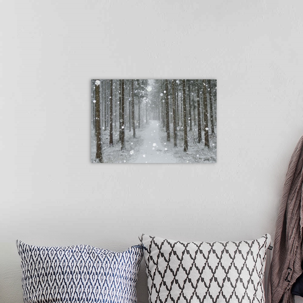 A bohemian room featuring Winter landscape, Black Forest, Baden-Wurttemberg, Germany