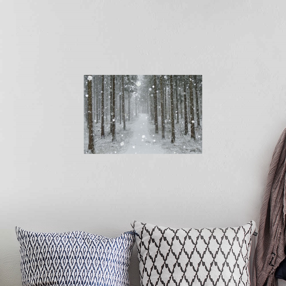 A bohemian room featuring Winter landscape, Black Forest, Baden-Wurttemberg, Germany