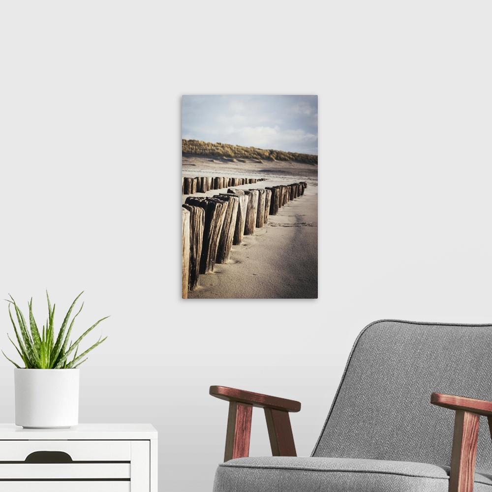 A modern room featuring Wooden groynes on a sandy beach, leading to sand dunes, Zeeland, The Netherlands