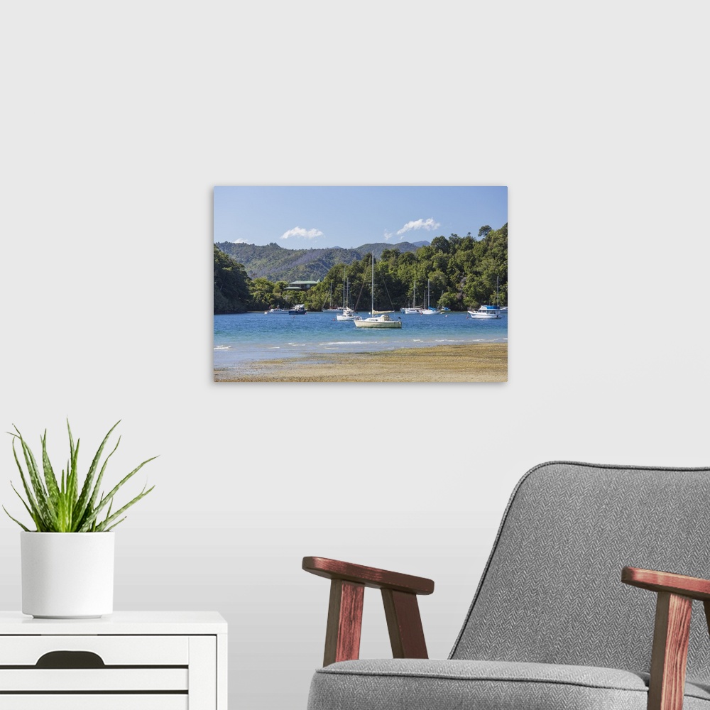 A modern room featuring Yachts moored in the sheltered harbour, Ngakuta Bay, near Picton, Marlborough, South Island, New ...