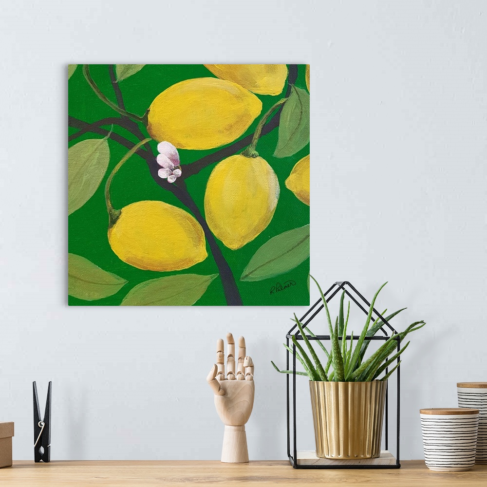 A bohemian room featuring Lemons Three