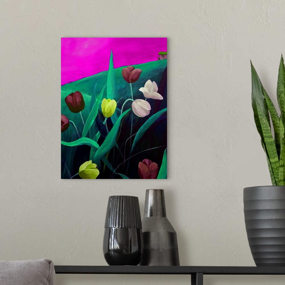 A modern room featuring Magenta Sky Tulips