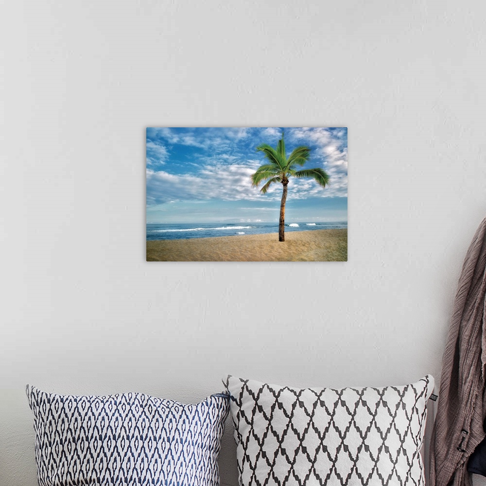 A bohemian room featuring A tropical beach with a lone palm tree under a cloudy sky.