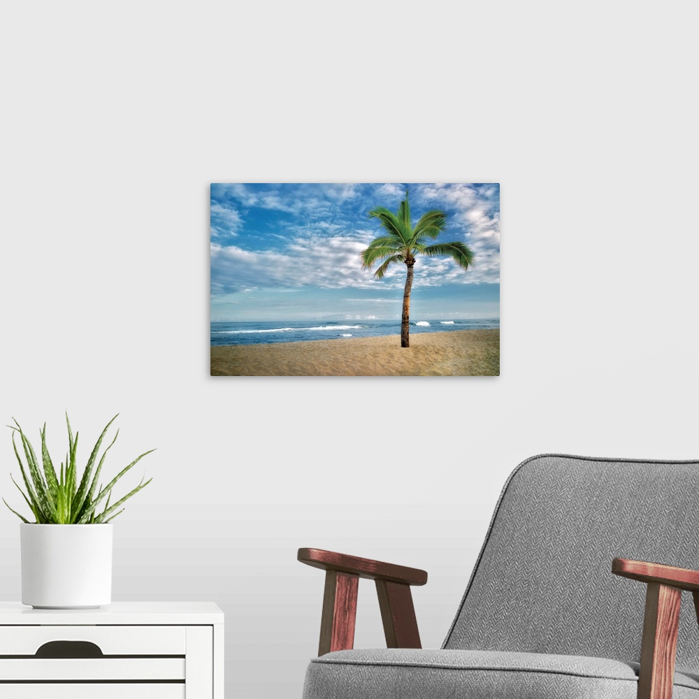 A modern room featuring A tropical beach with a lone palm tree under a cloudy sky.