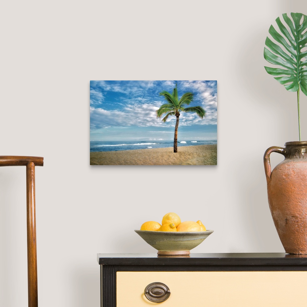 A traditional room featuring A tropical beach with a lone palm tree under a cloudy sky.
