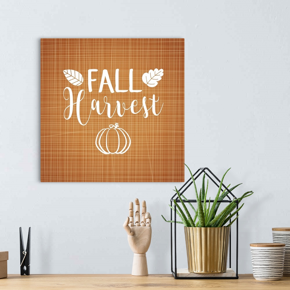 A bohemian room featuring Fall Harvest