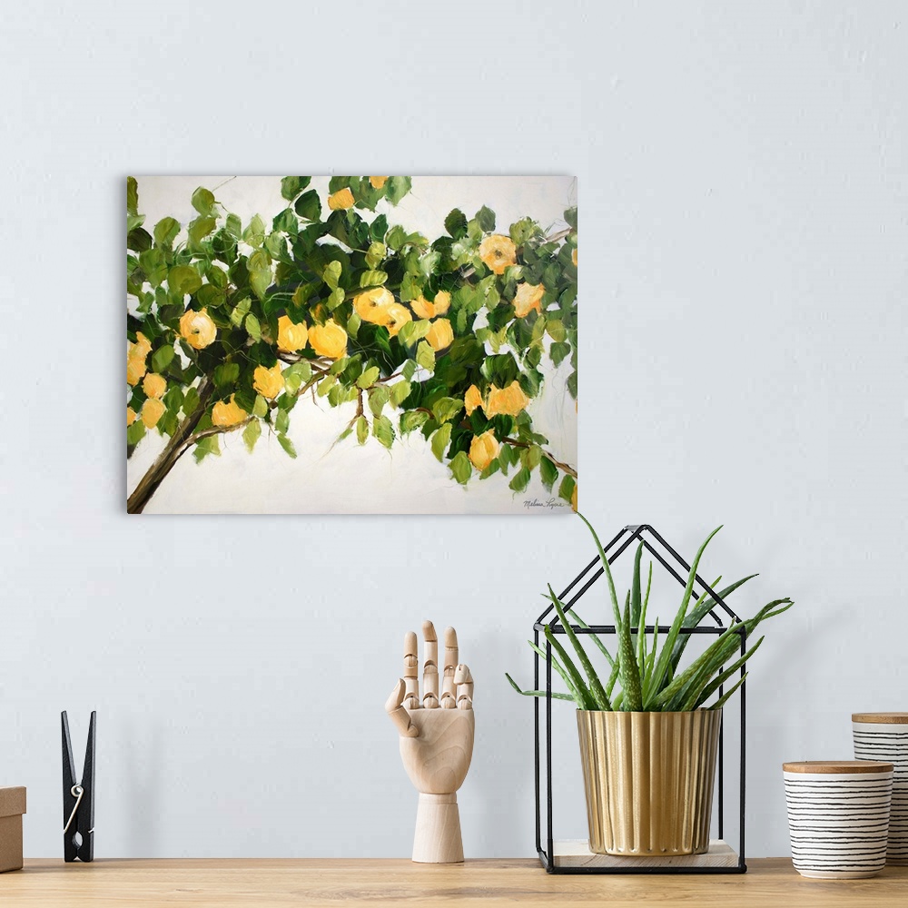 A bohemian room featuring Lemon Tree