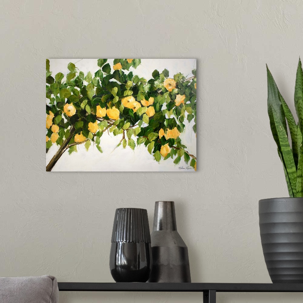 A modern room featuring Lemon Tree