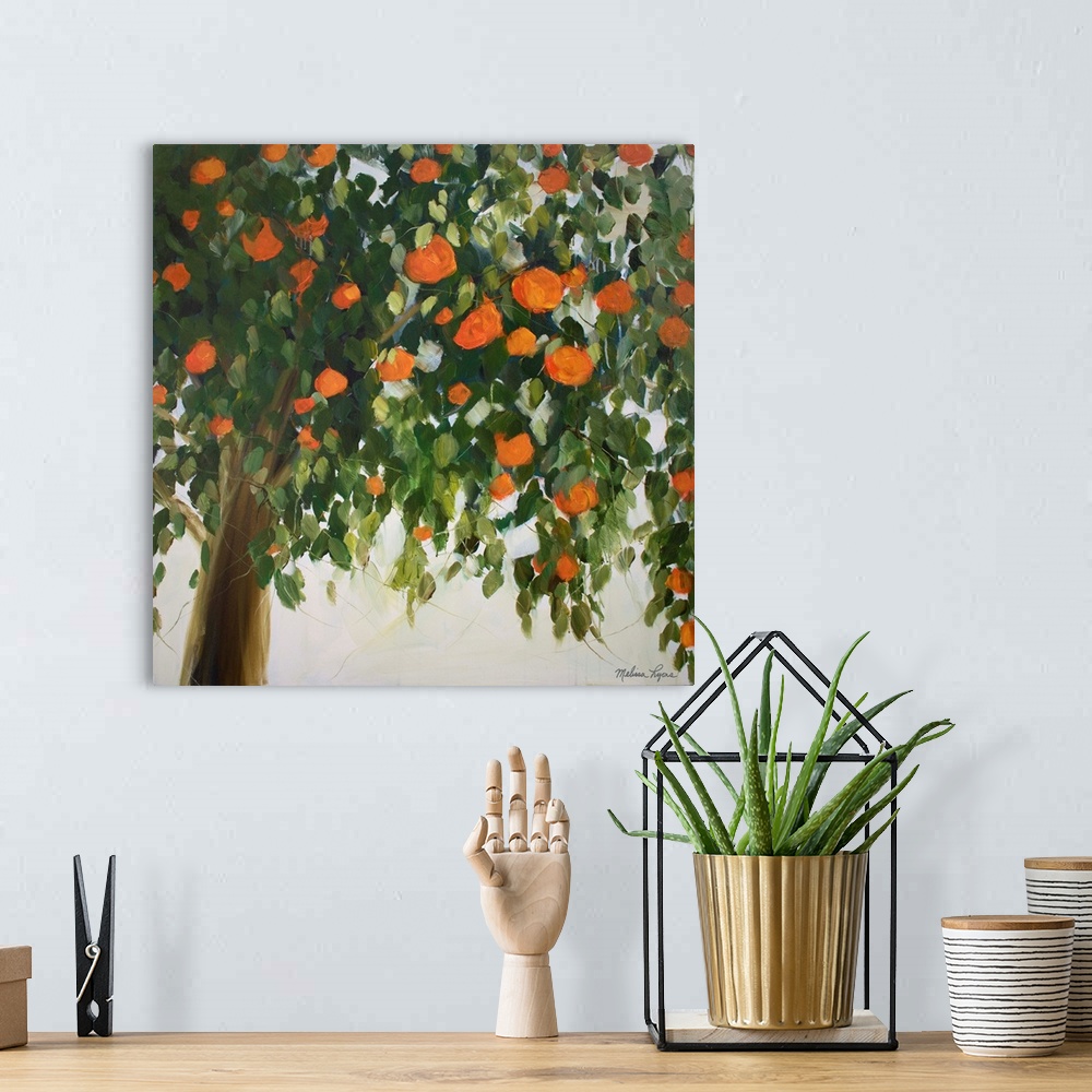 A bohemian room featuring Orange Tree