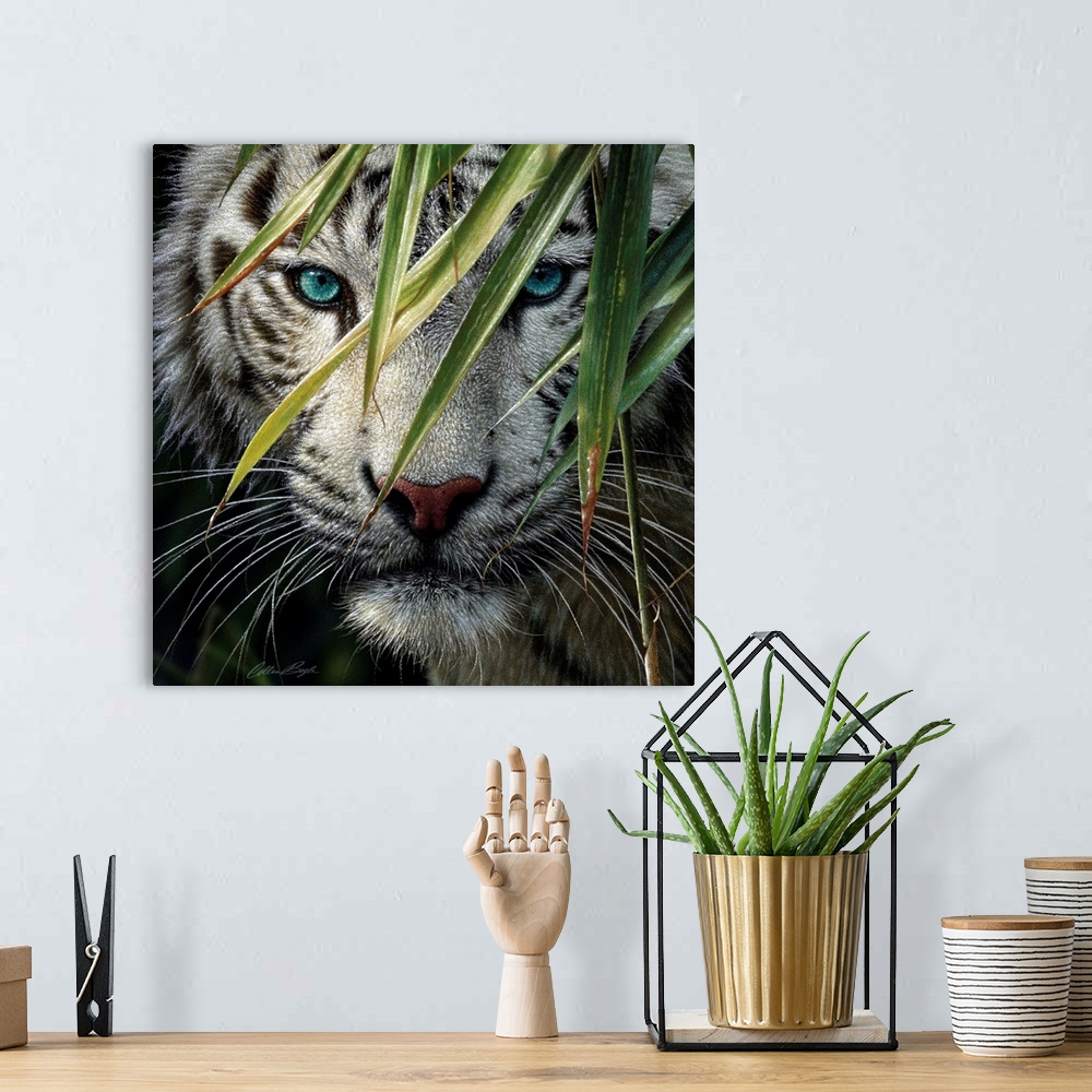 A bohemian room featuring White Tiger Bamboo Forest