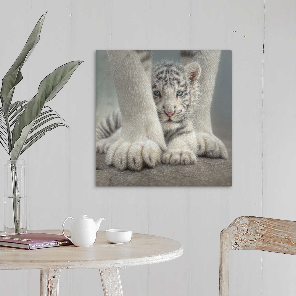 A farmhouse room featuring White Tiger Cub - Sheltered