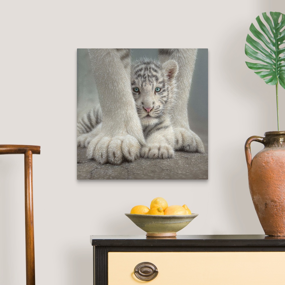A traditional room featuring White Tiger Cub - Sheltered