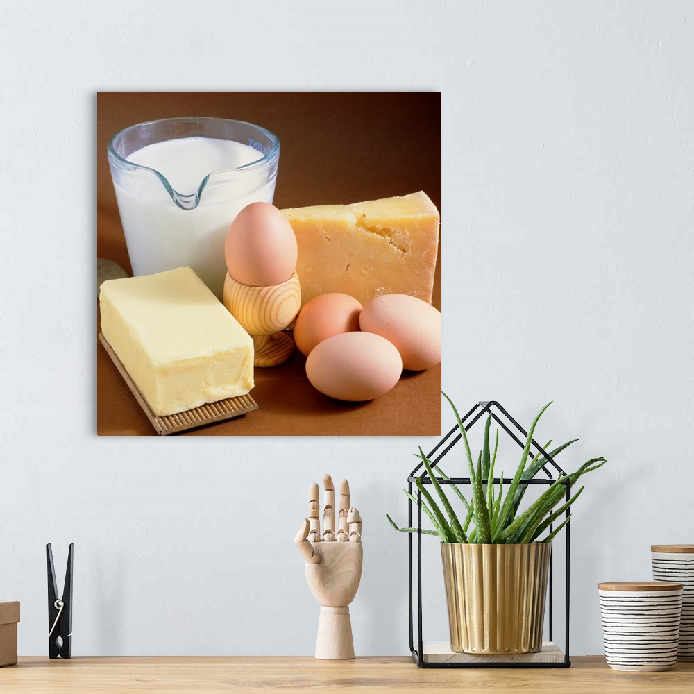 A bohemian room featuring Dairy food products. A selection of food; clockwise from upper left they are: milk, cheese, eggs ...