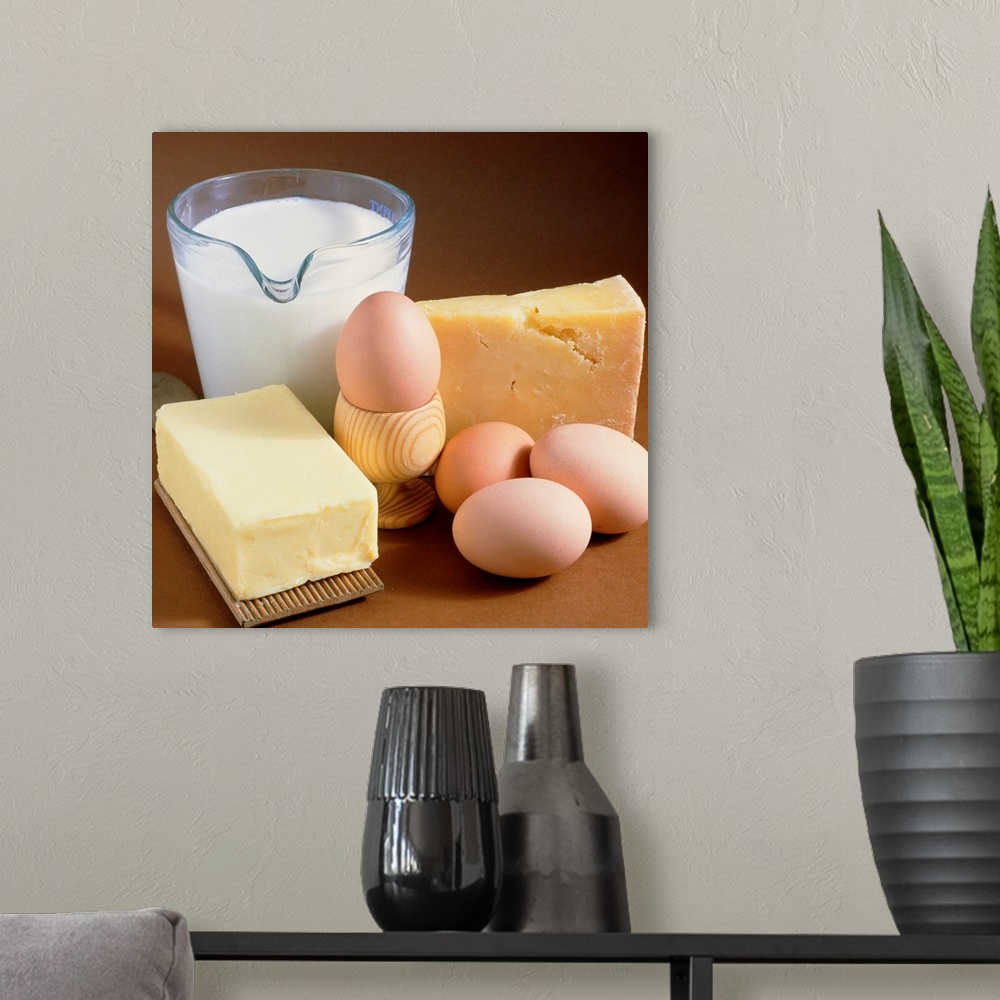 A modern room featuring Dairy food products. A selection of food; clockwise from upper left they are: milk, cheese, eggs ...