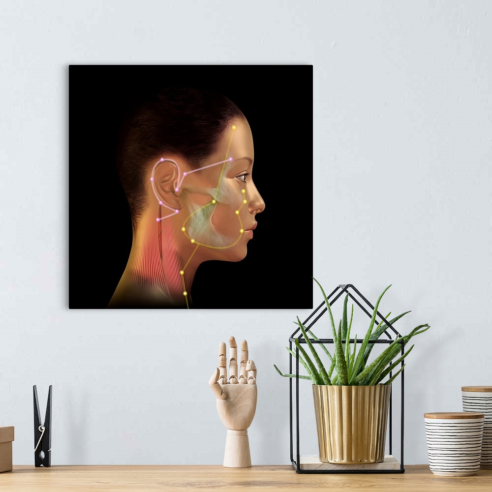 A bohemian room featuring Acupuncture points. Artwork of a female human head illustrating acupuncture points (labelled dots...