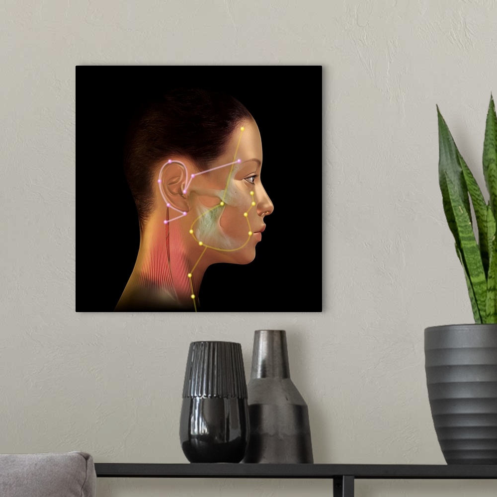 A modern room featuring Acupuncture points. Artwork of a female human head illustrating acupuncture points (labelled dots...