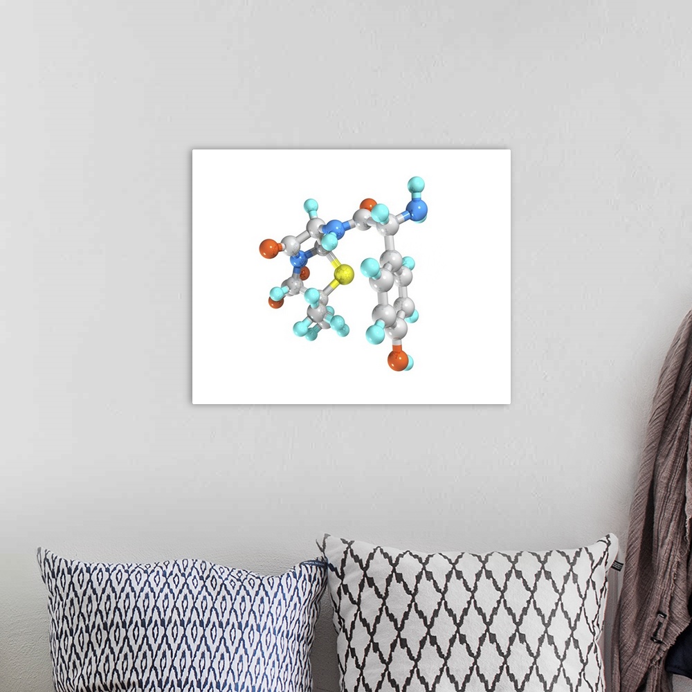 A bohemian room featuring Amoxicillin. Computer model of a molecule of the drug amoxicillin. It is also known as amoxycilli...