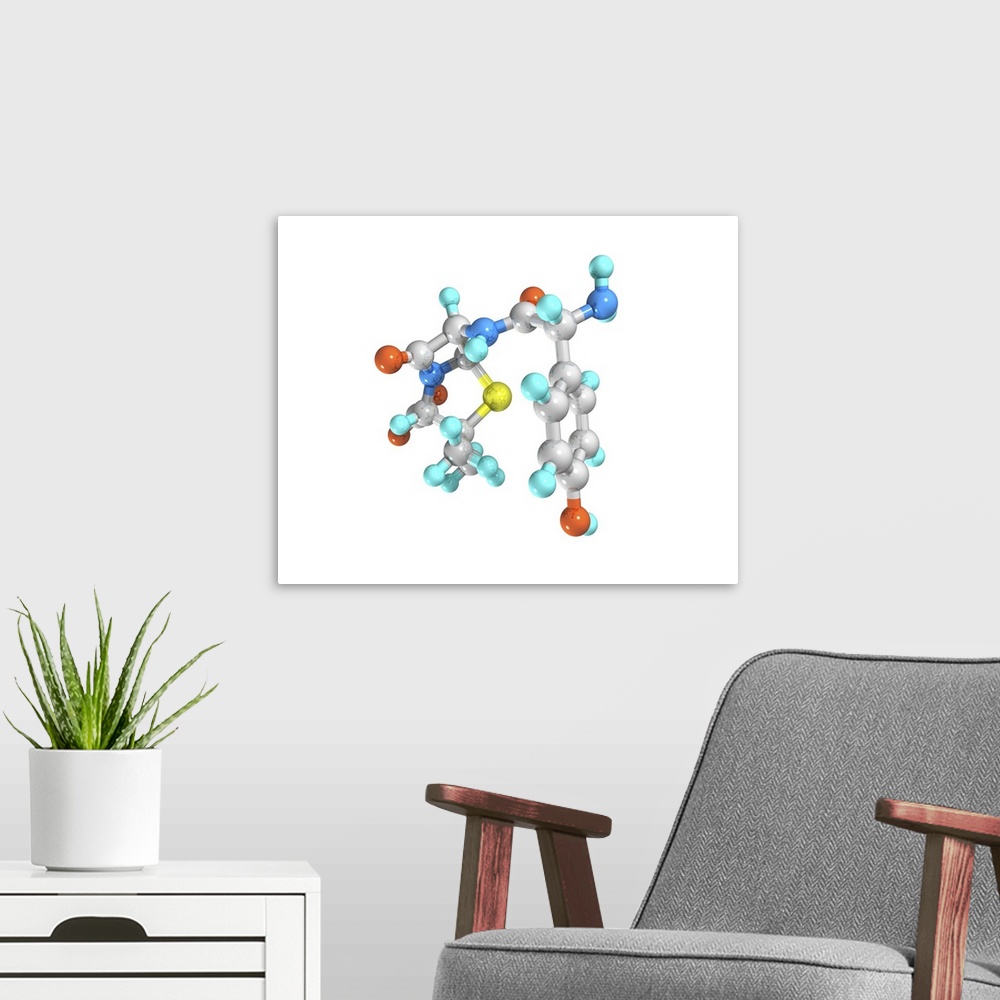 A modern room featuring Amoxicillin. Computer model of a molecule of the drug amoxicillin. It is also known as amoxycilli...