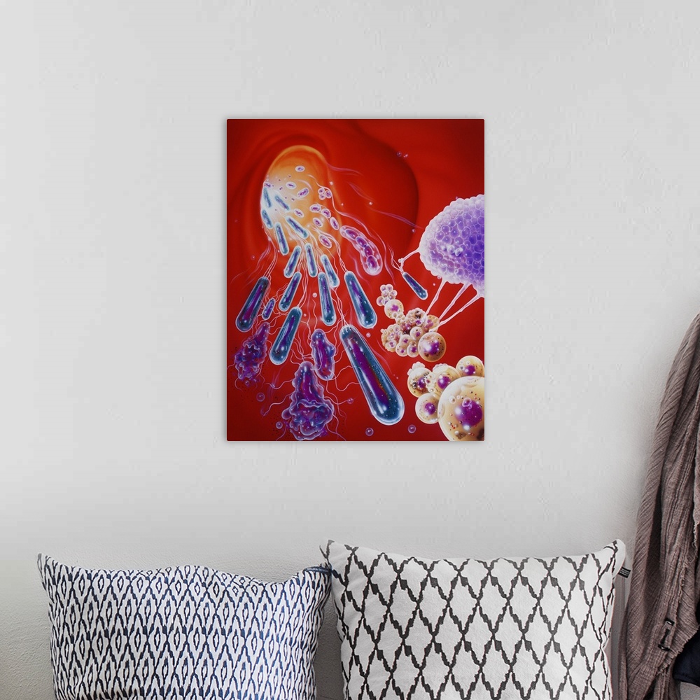 A bohemian room featuring Illustration of an antibiotic acting on bacteria. Antibiotics are a group of drugs used to treat ...
