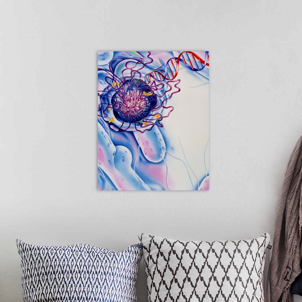 A bohemian room featuring Antibiotic action on bacterium. Illustration of an antibiotic drug acting on a bacterium, causing...