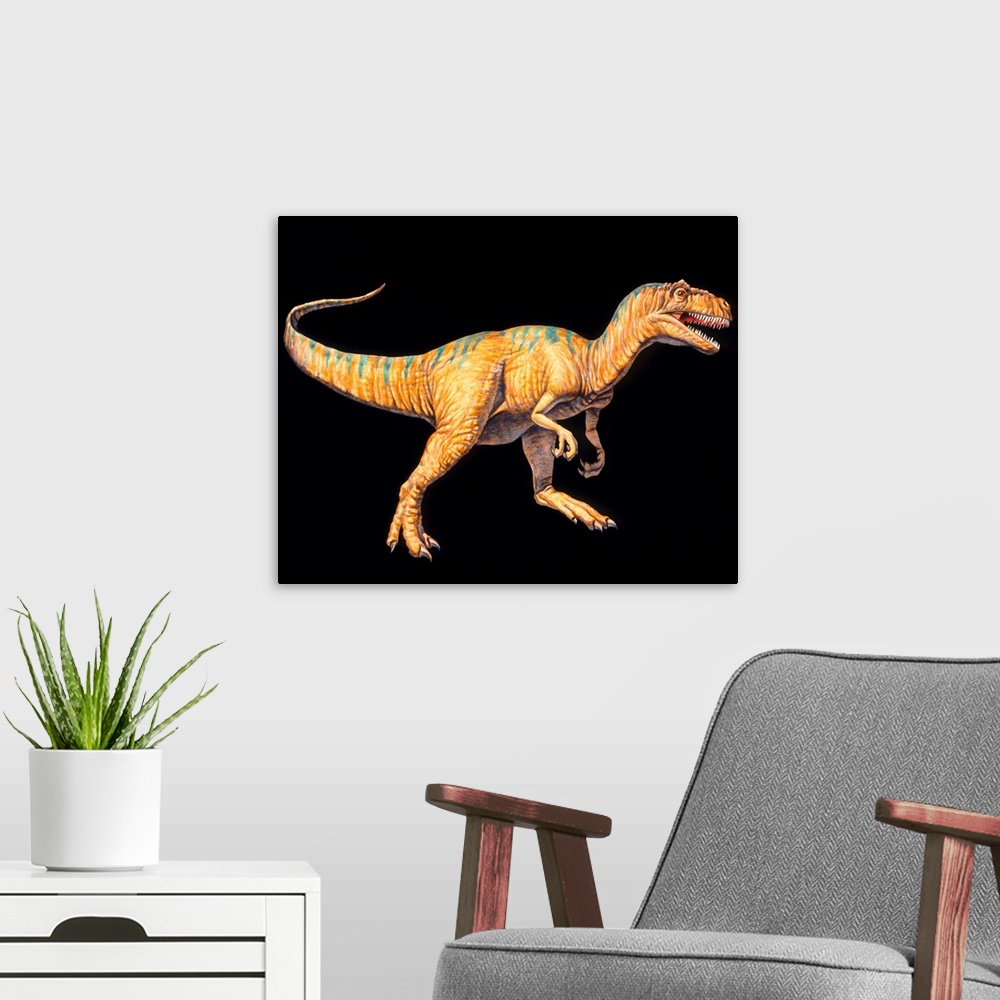A modern room featuring Allosaurus dinosaur. Artwork of an Allosaurus dinosaur (Allosaurus sp.). Allosaurs were large pre...