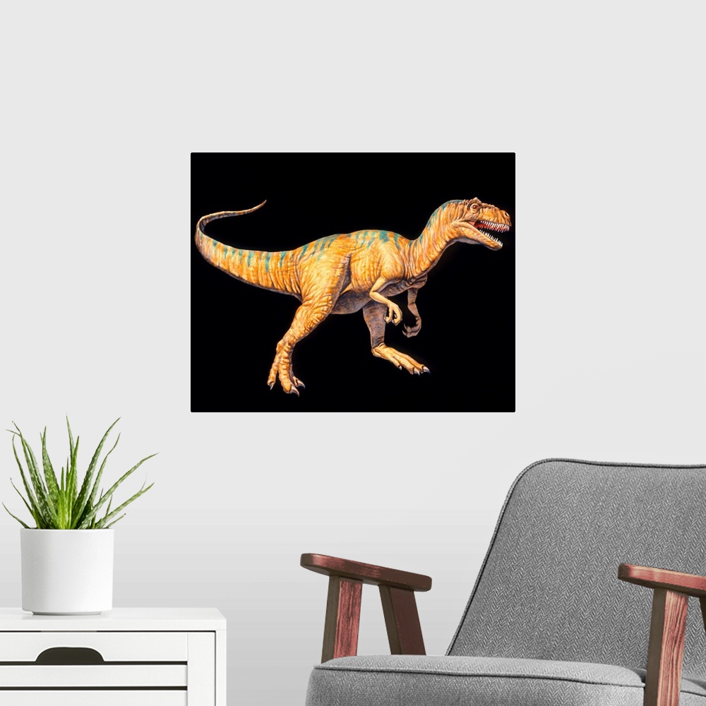 A modern room featuring Allosaurus dinosaur. Artwork of an Allosaurus dinosaur (Allosaurus sp.). Allosaurs were large pre...