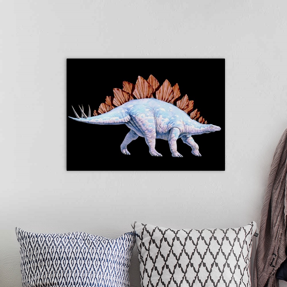 A bohemian room featuring Stegosaurus. Artwork of a Stegosaurus (Stegosaurus sp.) dinosaur. Stegosaurs (\roofed reptiles\) ...