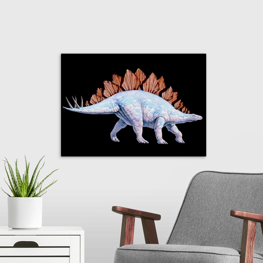 A modern room featuring Stegosaurus. Artwork of a Stegosaurus (Stegosaurus sp.) dinosaur. Stegosaurs (\roofed reptiles\) ...