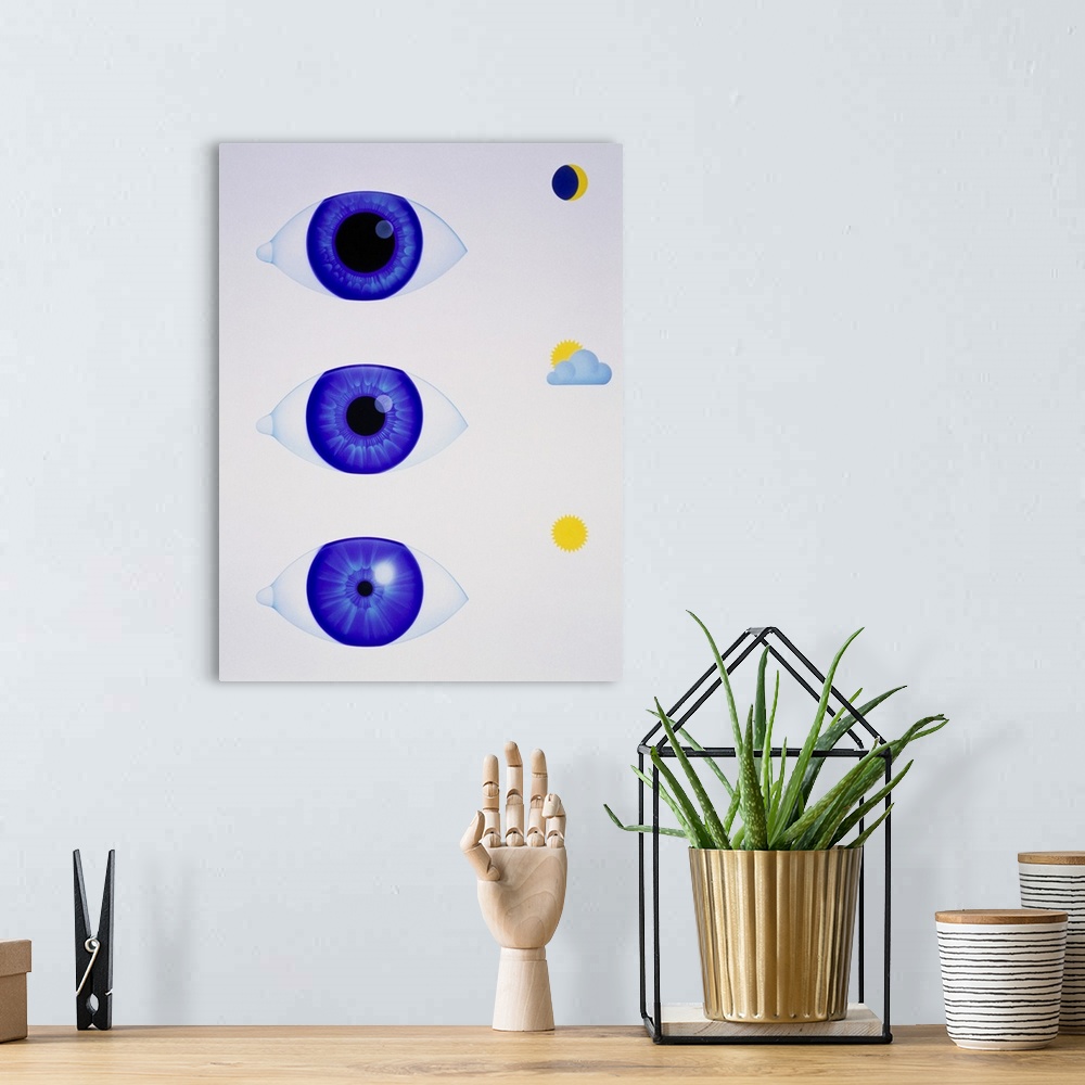 A bohemian room featuring Pupil of eye. Artwork showing how the pupil of the eye reacts in three different light intensitie...