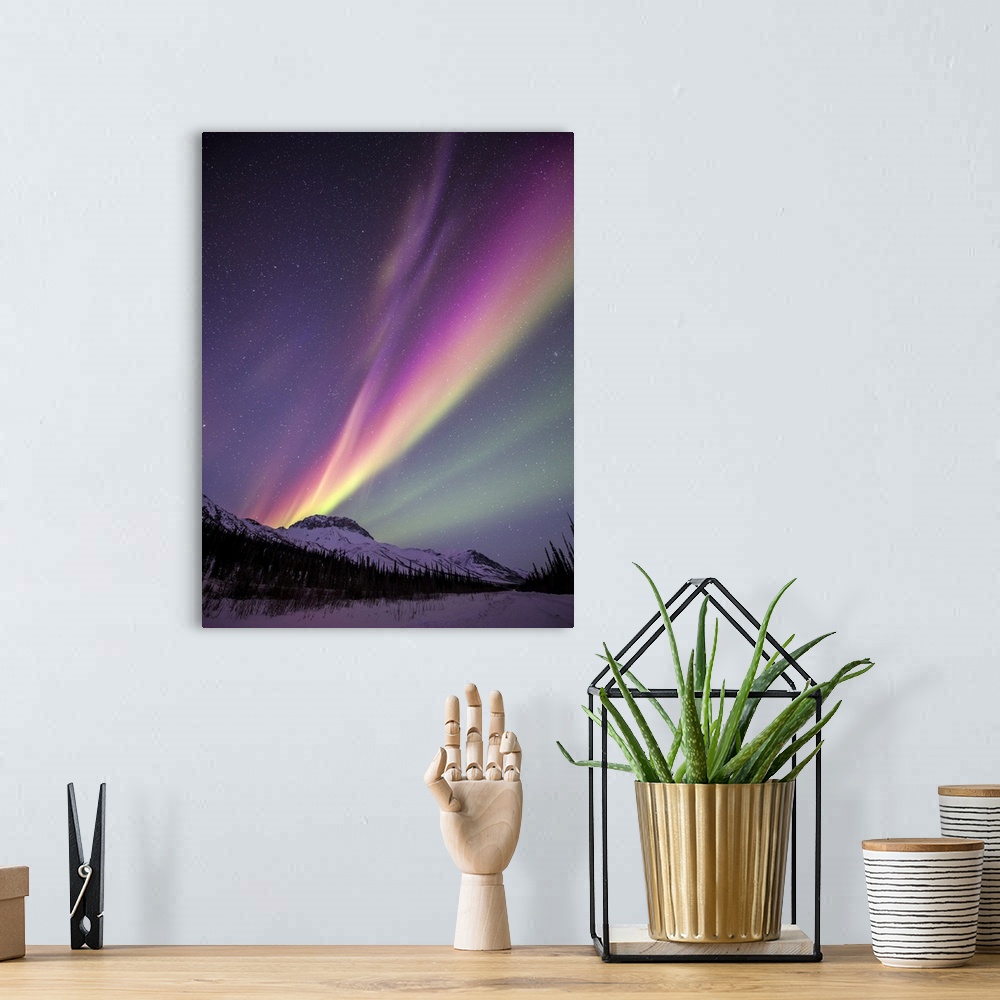 A bohemian room featuring Aurora Borealis sweeps over spruce trees and the Brooks Range mountains in Northern Alaska. The A...