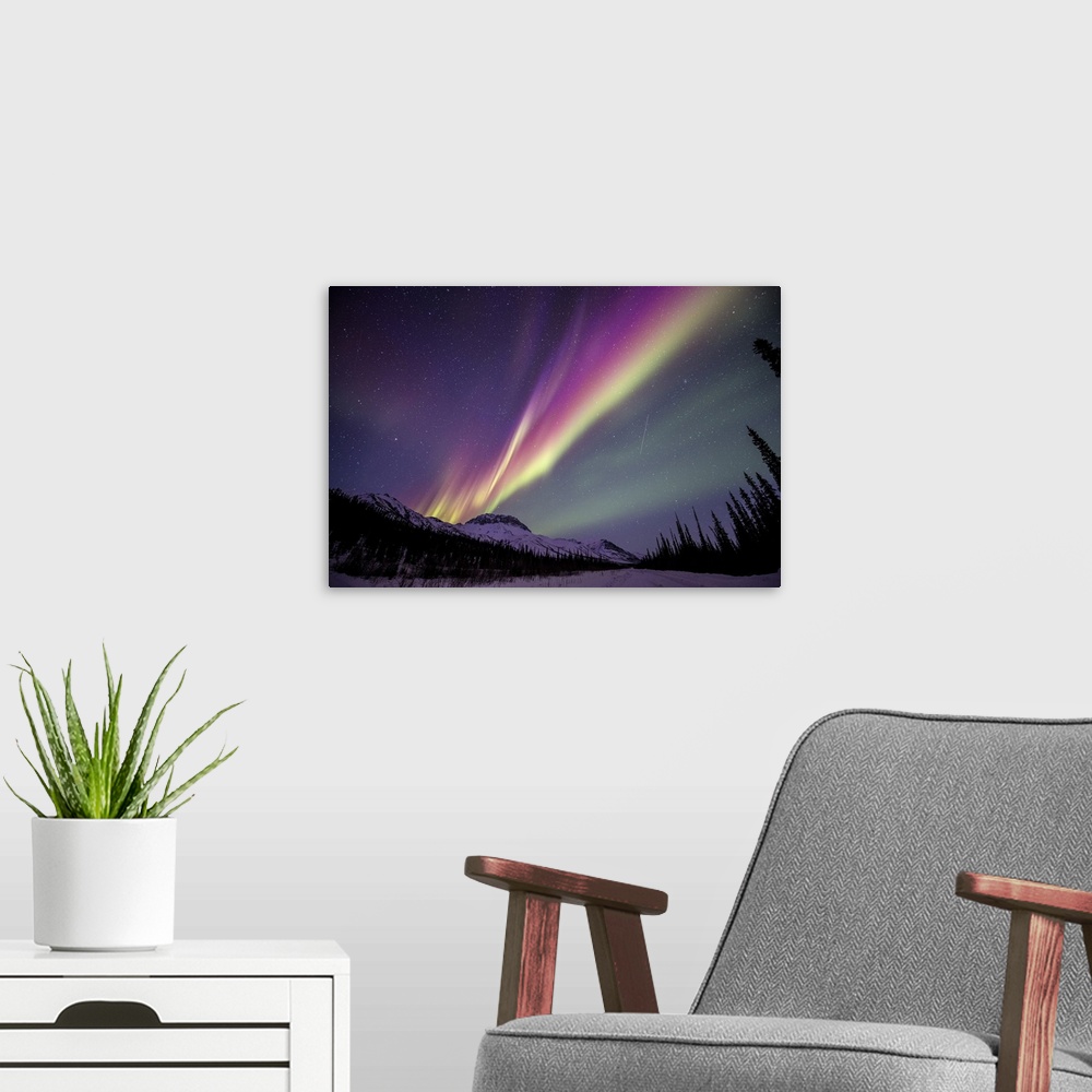 A modern room featuring Aurora borealis over the Brooks Range and spruce trees in Northern Alaska. The aurora borealis (n...