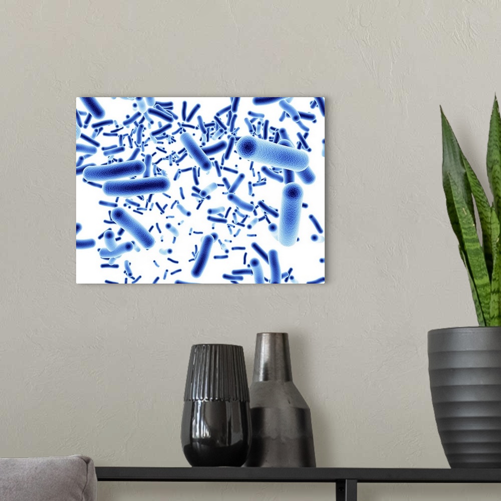 A modern room featuring Computer artwork depicting a cluster of bacteria.