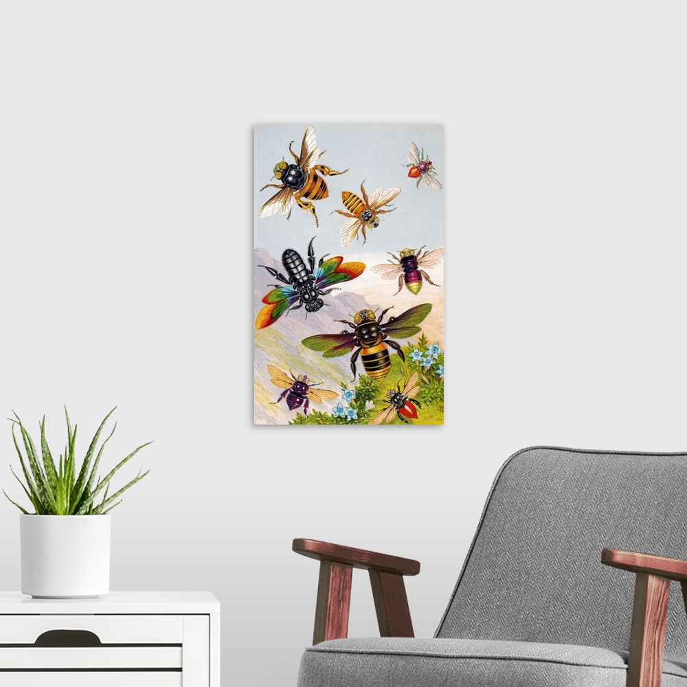 A modern room featuring Bees. Historical chromolithograph artwork of exotic bees. Clockwise from upper left are: Centris ...