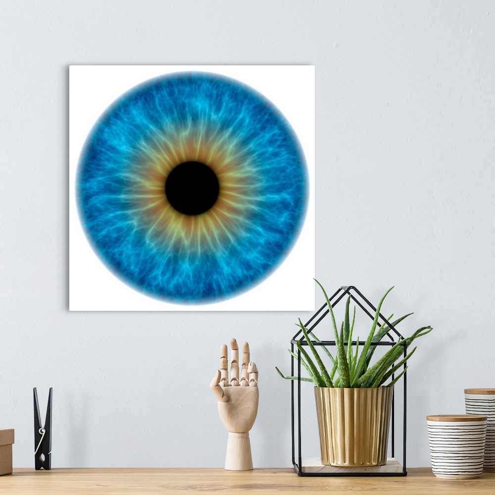 A bohemian room featuring Blue eye. Computer artwork of a close-up of the iris and pupil of an eye. The iris, a coloured mu...